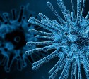 Заболеваемость коронавирусом упала на Сахалине на 61%