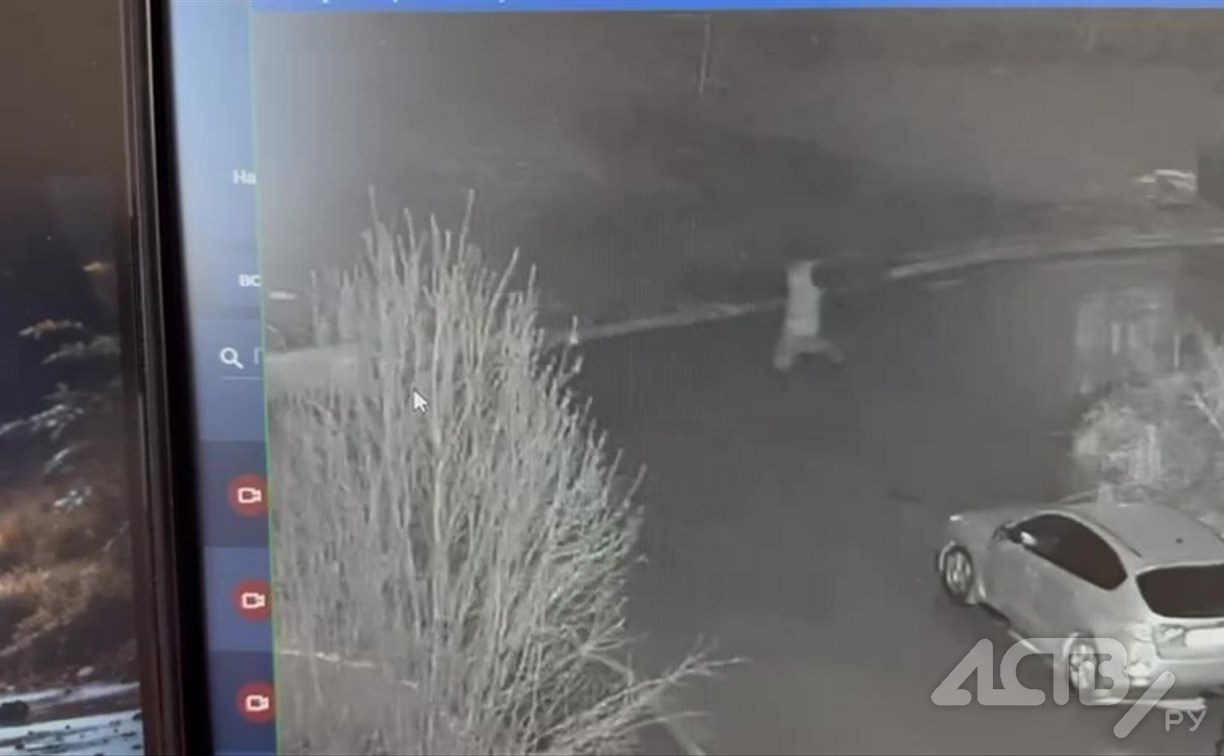 Неизвестный прошёлся по дворам в Южно-Сахалинске и разбил несколько автомобилей
