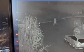 Происшествия