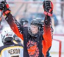 Победителем Кубка сахалинских дворовых хоккейных игр стал анивский "Авангард"