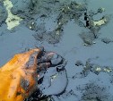 Следком проводит проверку информации о разливе нефти на севере Сахалина