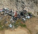За лето на Сахалине зафиксировали 17 несанкционированных свалок