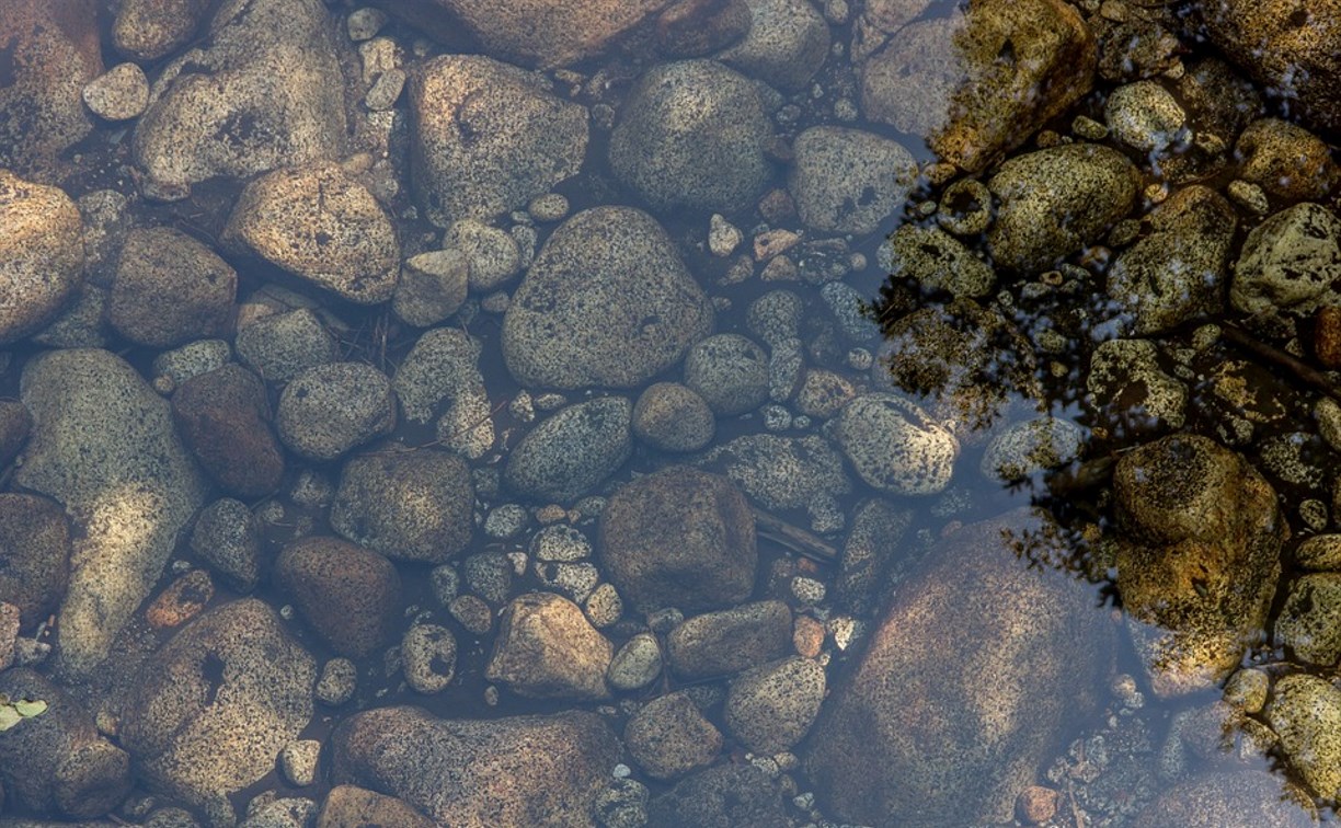 В реке на Сахалине нашли фекалии