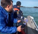 Очевидцы: тело мальчика, утонувшего в Холмске, нашли 