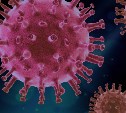 Сахалинский минздрав предупредил жителей об угрозе энтеровирусной инфекции