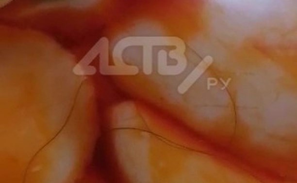 Китайские грибы с волосами купила сахалинка в супермаркете