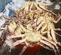 Семья из Долинска отправится под суд за организацию нелегального крабового бизнеса 