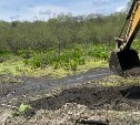 Жители Ёлочек переживают за гнёзда краснокнижных уток-мандаринок на пути тяжелой техники