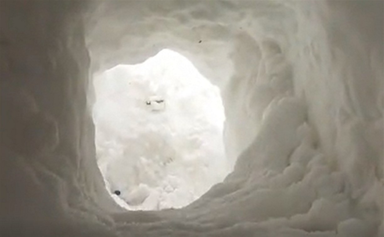  Сахалинец в поисках интернета выкопал трёхметровый лаз в снегу