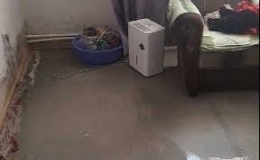Общество