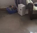 В Адо-Тымово заплесневевшая квартира в новом доме отравляет жизнь всем жильцам 