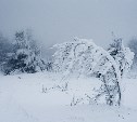 Три района Сахалина завалит мокрым снегом