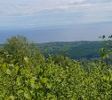 Сахалинцев зовут в двухдневный поход