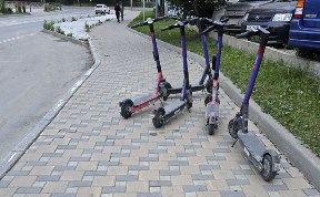 Общество