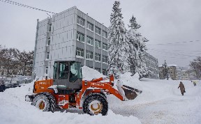 Общество