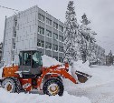 В Южно-Сахалинске 30 января на расчистку улиц от снега вышли 162 единицы техники