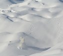 Снежные массы сошли на автодорогу Невельск - Холмск