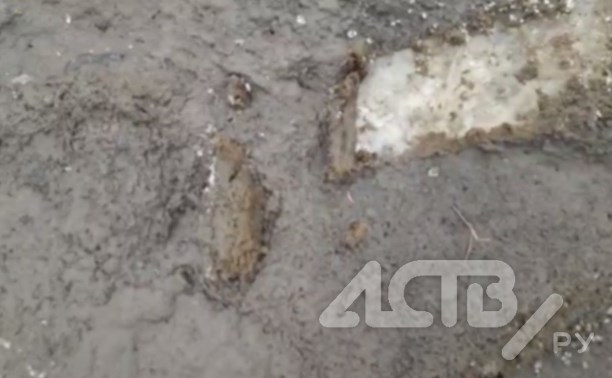 "Нормальный такой слой навоза": сахалинец снял на видео состояние реки в Анивском районе