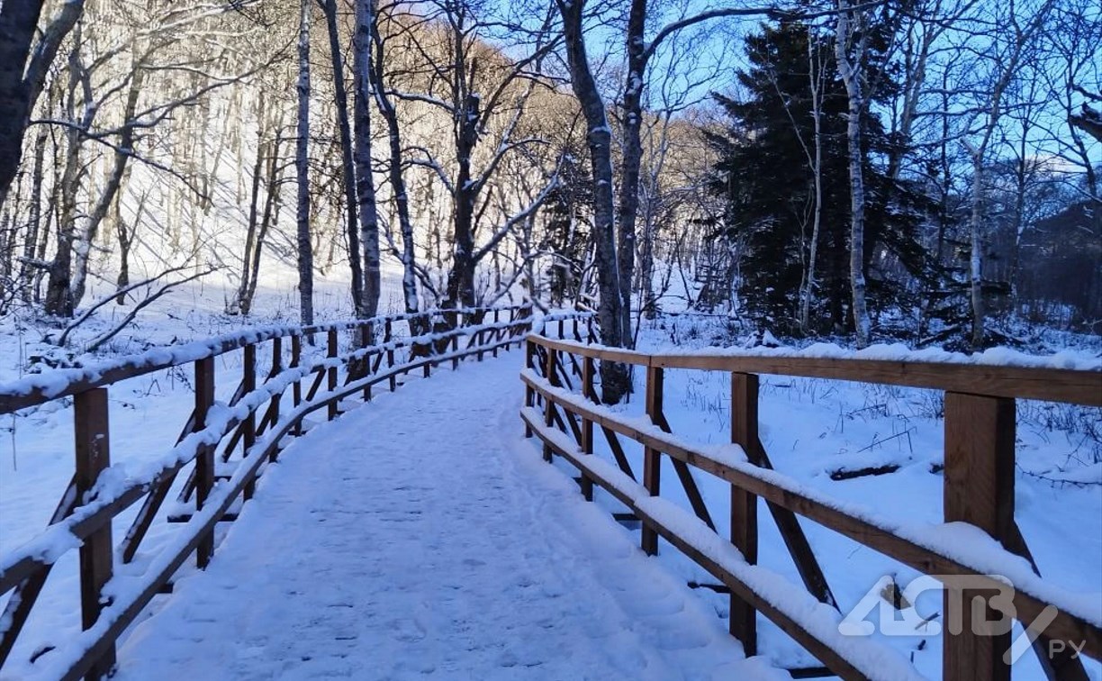 Туман опустился на Южно-Сахалинск: днём ожидают плюсовую температуру