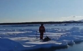 Происшествия