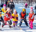 Семейный турнир "Хоккей в валенках" пройдет в Южно-Сахалинске 30 января