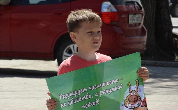 "Стерилизации - да! Убийству - нет" - под таким лозунгом в Южно-Сахалинске прошел автопробег