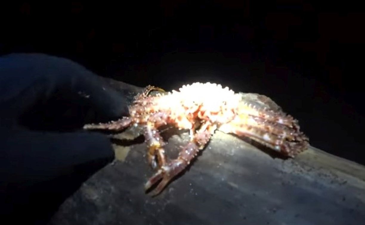 Рецепт хемультана из собранных на берегу морепродуктов снял на видео сахалинец