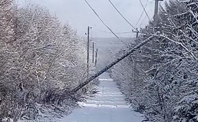 Происшествия