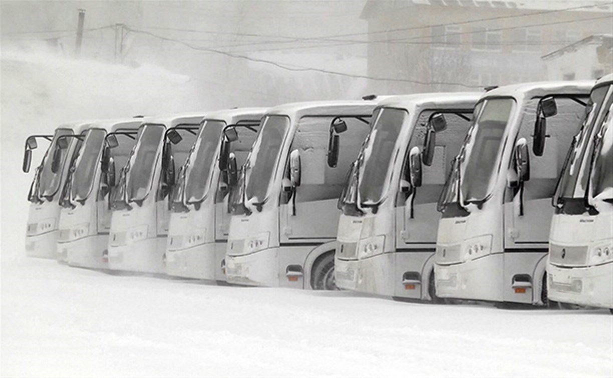 Межмуниципальные автобусы возобновляют работу ещё по нескольким направлениям
