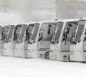 Межмуниципальные автобусы возобновляют работу ещё по нескольким направлениям