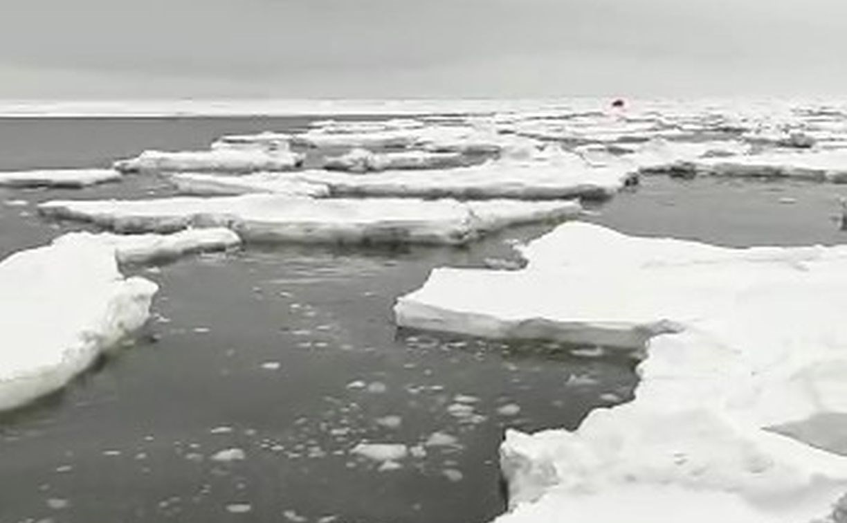 "Раскрошило в труху": большая волна разрушила лёд у юго-восточного побережья Сахалина