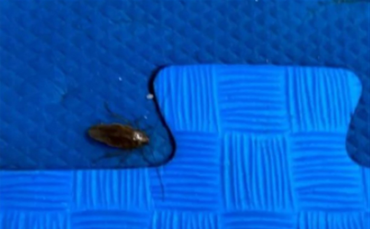 Тараканы, волосы и грязь: сахалинцы рассказали про антисанитарию в детской комнате крупного ТРЦ