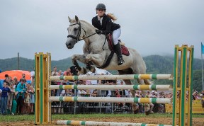 Спорт