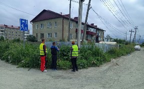 Общество