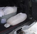 Свыше 2200 морских гребешков обнаружили пограничники у сахалинцев, задержанных на Урюме