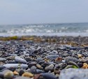 Лето вернулось: на Сахалине в пятницу потеплеет до +27 °C