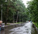 Городской парк Южно-Сахалинска станет безопасным