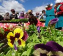 Сельскохозяйственная ярмарка в Южно-Сахалинске собрала производителей из десяти районов острова