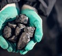 ВГК сохраняет рекордно низкую цену на уголь для своего района