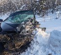 Автокатастрофа, мёртвые олени и "купол" над городом: главные события февраля-2024 на astv.ru