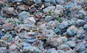 Происшествия