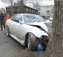 Разбитым носом отделался водитель иномарки, протаранивший дерево в Южно-Сахалинске
