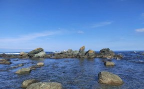Общество