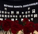В Южно-Сахалинске 9 мая запустят акцию "Гвоздика памяти" в ММК "Победа"