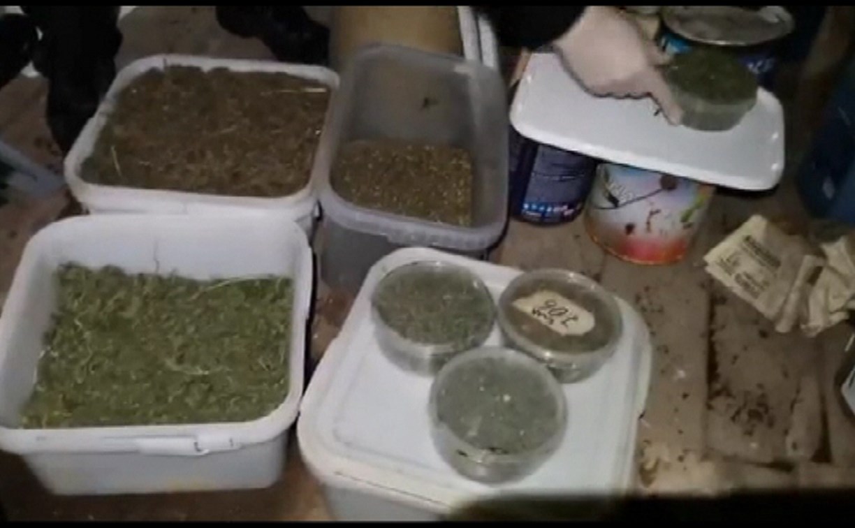 Больше 3,5 кило марихуаны изъяла полиция у жителя Анивы
