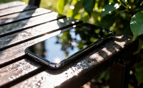 Происшествия