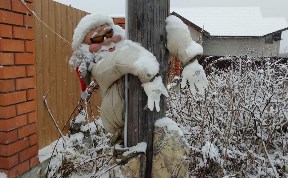 Общество