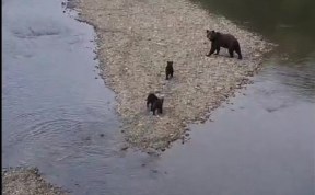 Общество