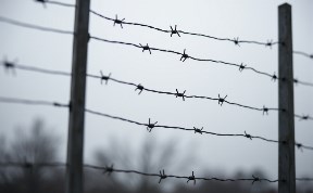 Происшествия