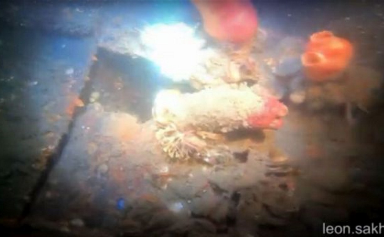Дайверы нашли огромное затопленное судно у берегов Сахалина